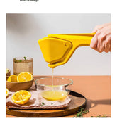 Dreamfarm Fluicer Fold Flat Easy Juicer